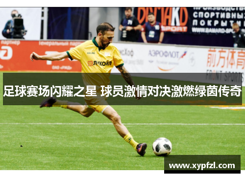 足球赛场闪耀之星 球员激情对决激燃绿茵传奇