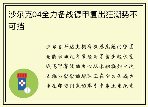 沙尔克04全力备战德甲复出狂潮势不可挡